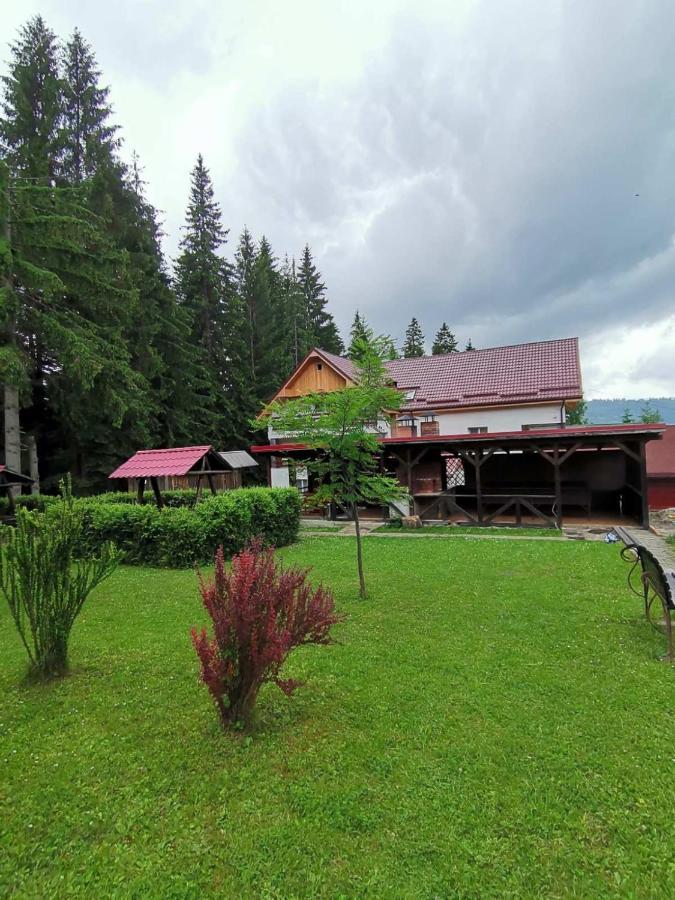 Pensiunea Lu' Movila Дурау Екстериор снимка